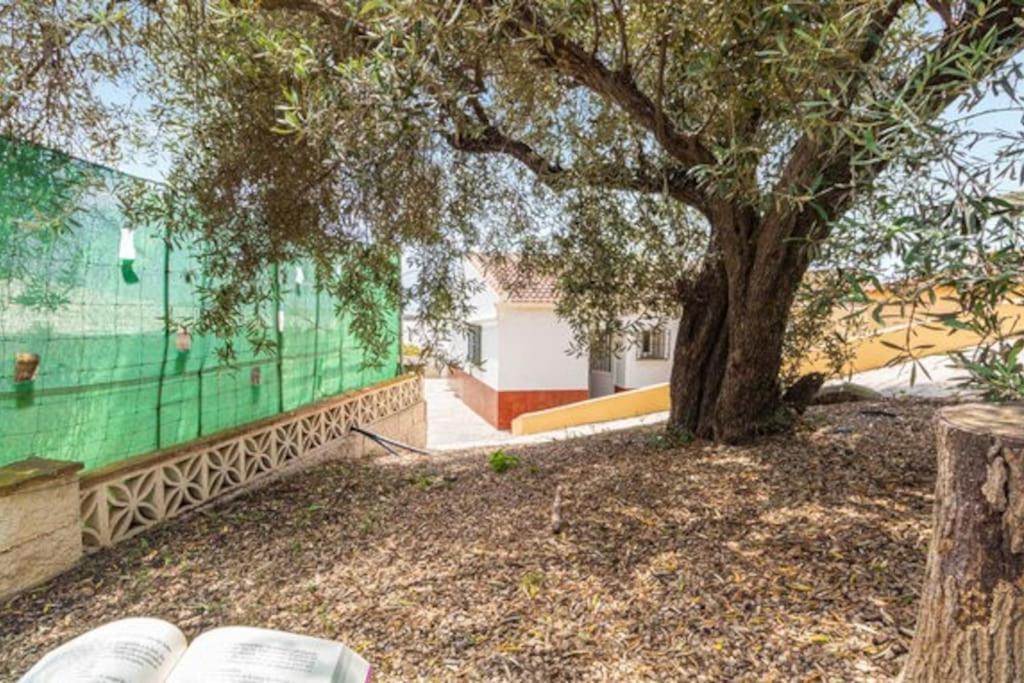 Casa Candiles Torrox Eksteriør billede